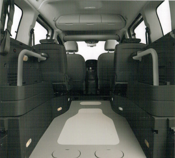 renault kangoo per trasporto carrozzina